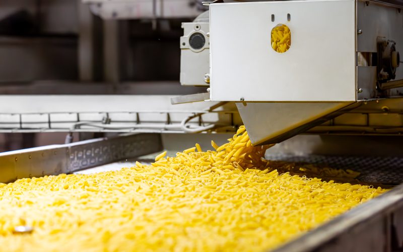 20250819 El Malika Factory-16