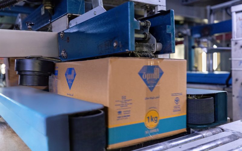 20250820 KSA suger factory-8