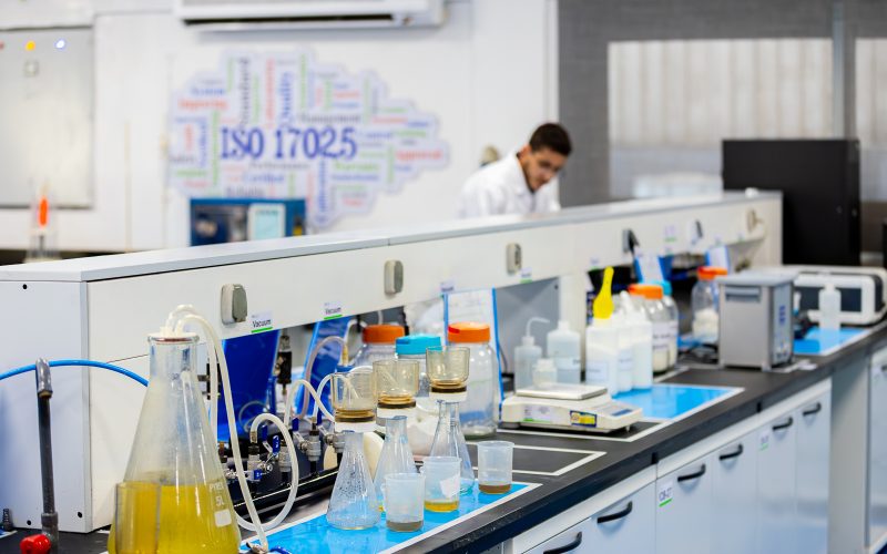 20250821 United Sugar Company of Egypt-4