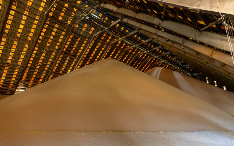 20250821 United Sugar Company of Egypt-6