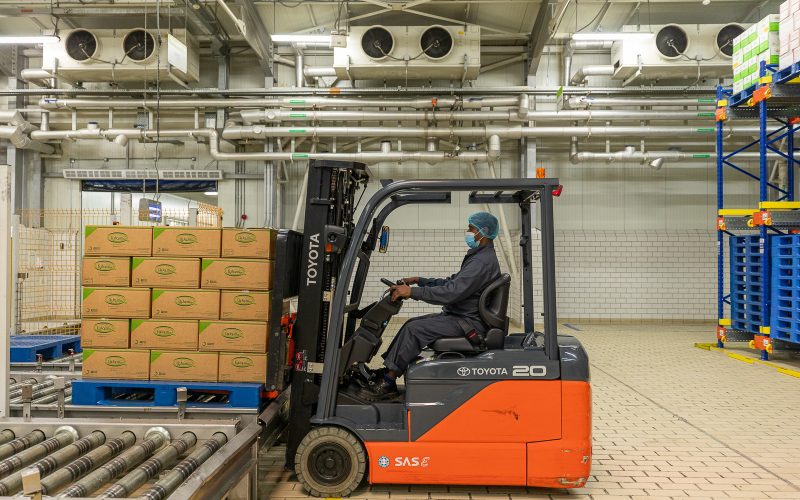 20250828 IFI Factory-4